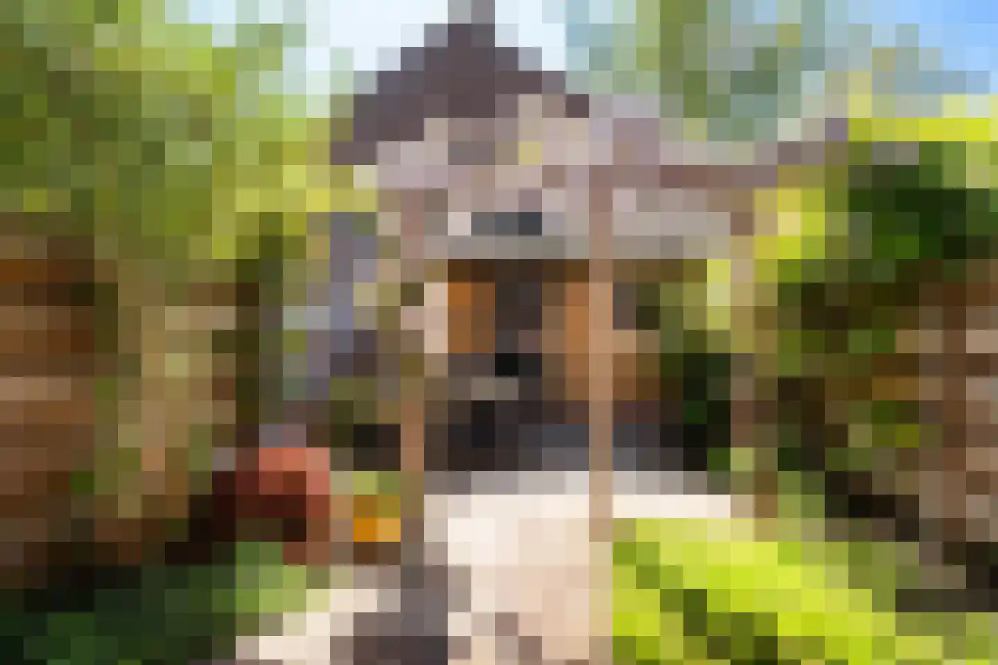 Eerste Hieronymus van Alphenstraat 114 Gouda thumbnail 26