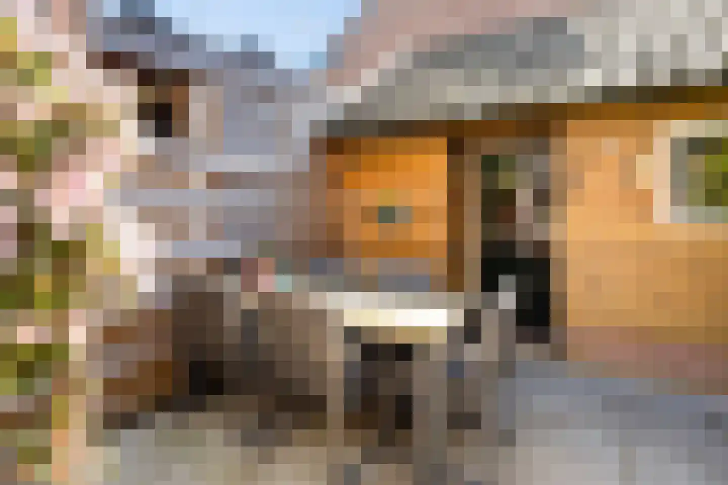 Eerste Hieronymus van Alphenstraat 114 Gouda thumbnail 27