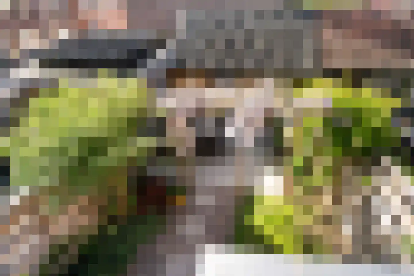 Eerste Hieronymus van Alphenstraat 114 Gouda thumbnail 28