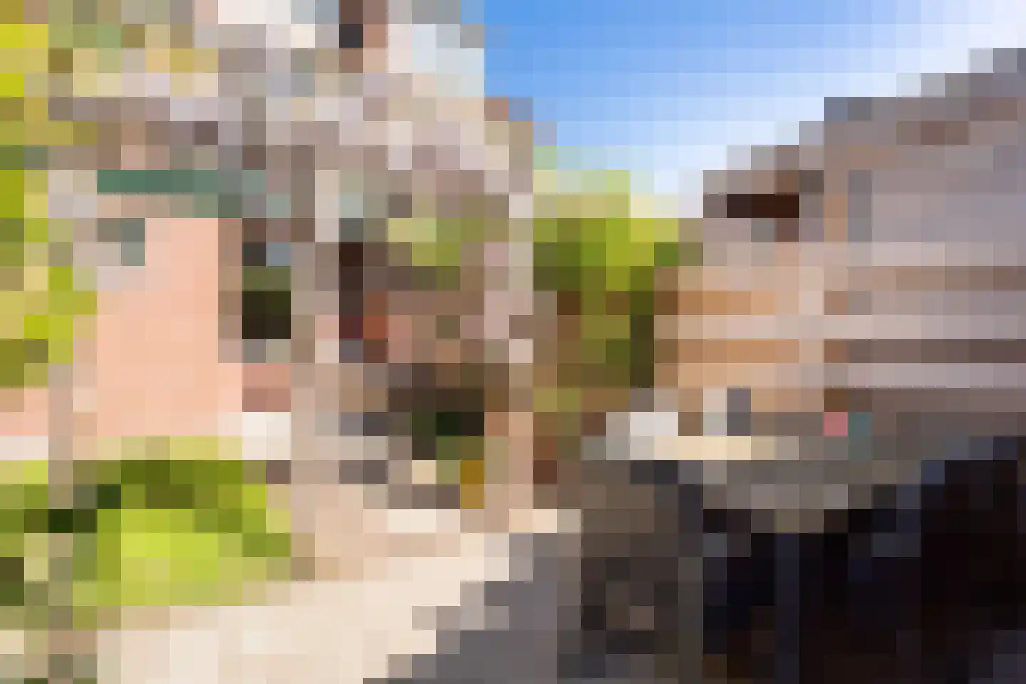 Eerste Hieronymus van Alphenstraat 114 Gouda thumbnail 29