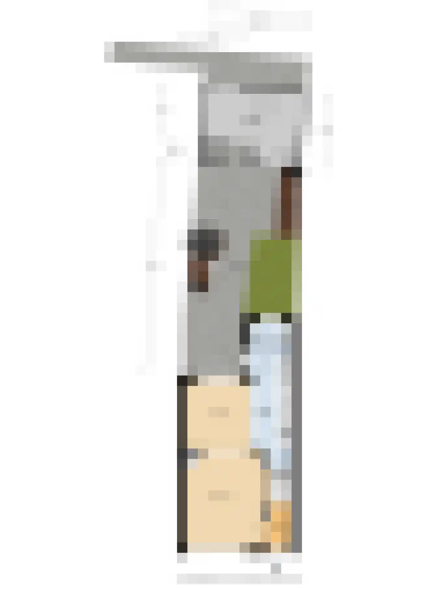 Eerste Hieronymus van Alphenstraat 114 Gouda thumbnail 34