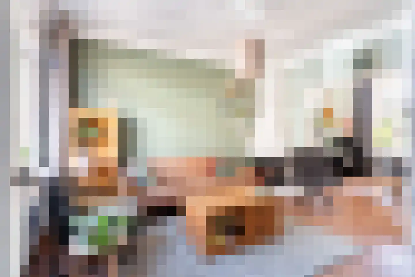 Eerste Hieronymus van Alphenstraat 114 Gouda thumbnail 5