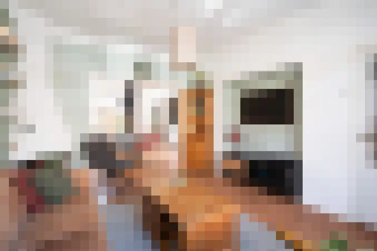 Eerste Hieronymus van Alphenstraat 114 Gouda thumbnail 6