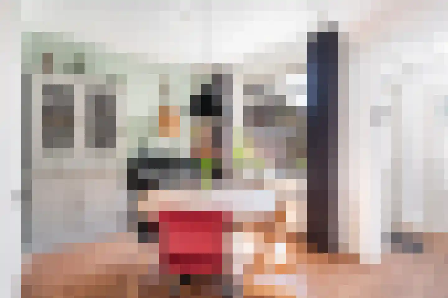 Eerste Hieronymus van Alphenstraat 114 Gouda thumbnail 8