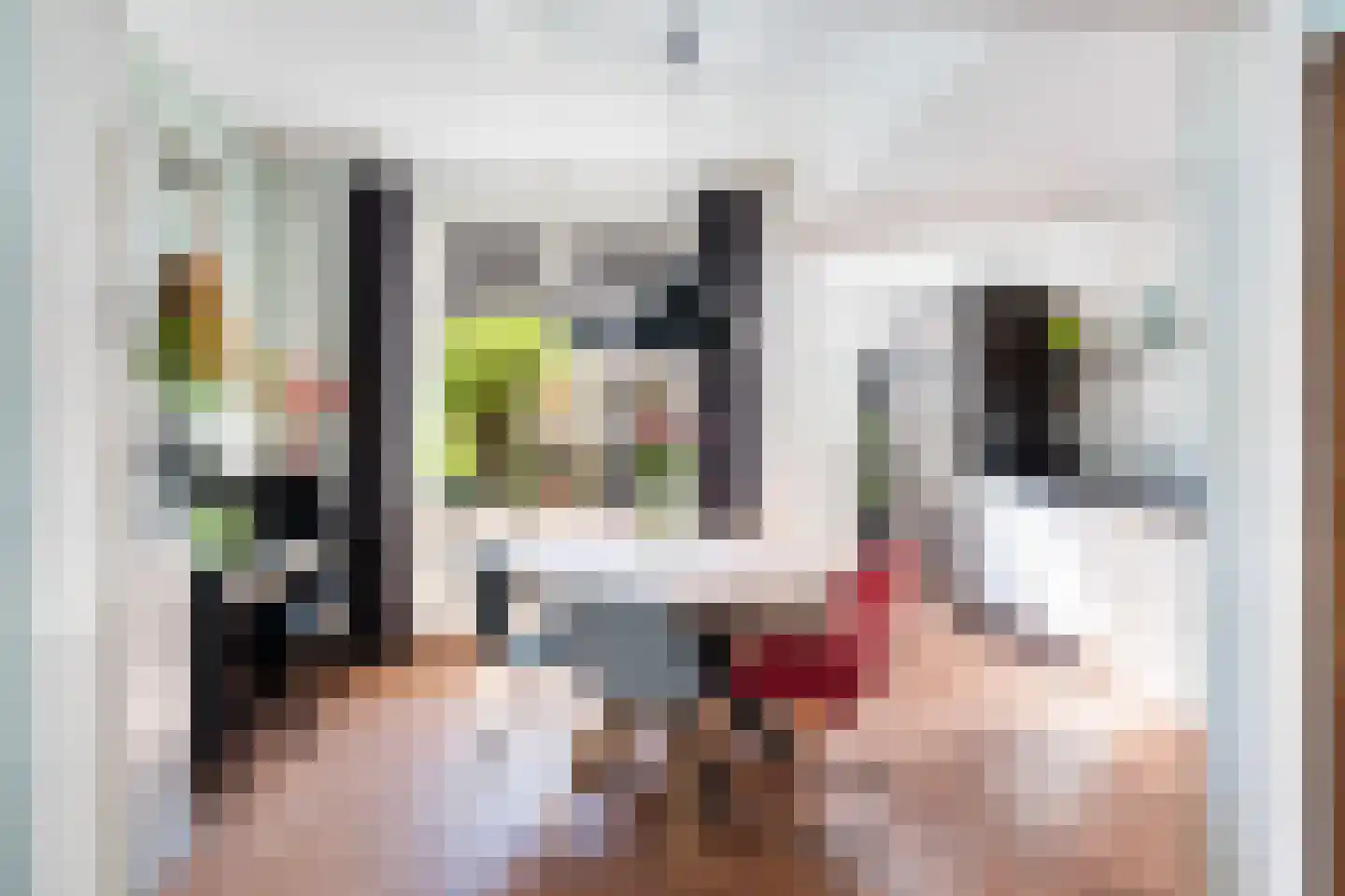 Eerste Hieronymus van Alphenstraat 114 Gouda thumbnail 9