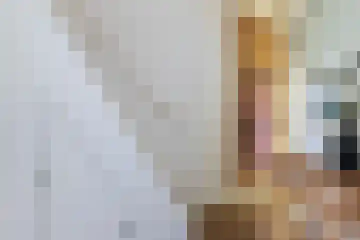 Eerste Hieronymus van Alphenstraat 17 Gouda thumbnail 11