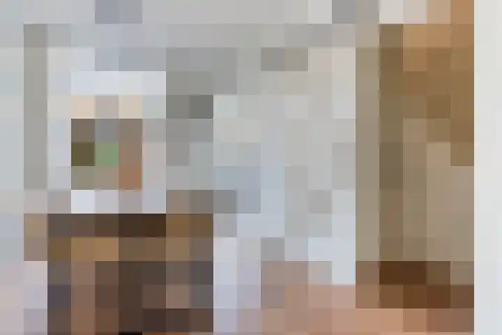 Eerste Hieronymus van Alphenstraat 17 Gouda thumbnail 12