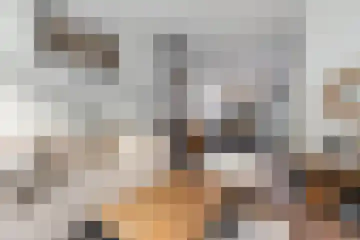 Eerste Hieronymus van Alphenstraat 17 Gouda thumbnail 15