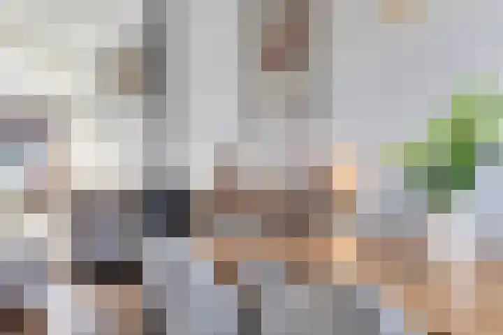 Eerste Hieronymus van Alphenstraat 17 Gouda thumbnail 20