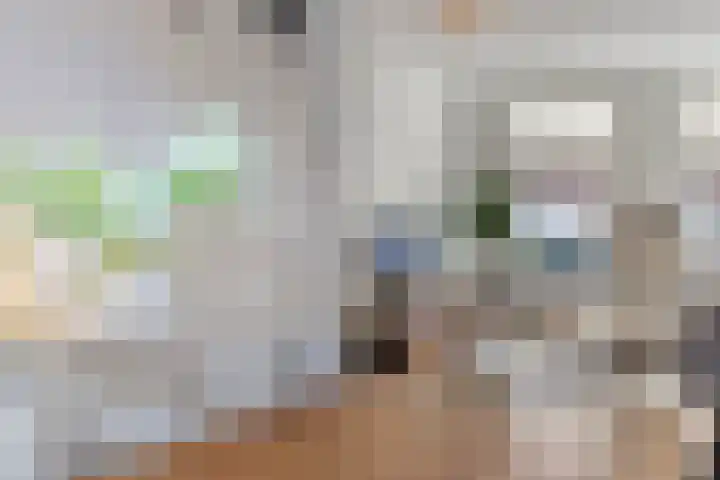 Eerste Hieronymus van Alphenstraat 17 Gouda thumbnail 21