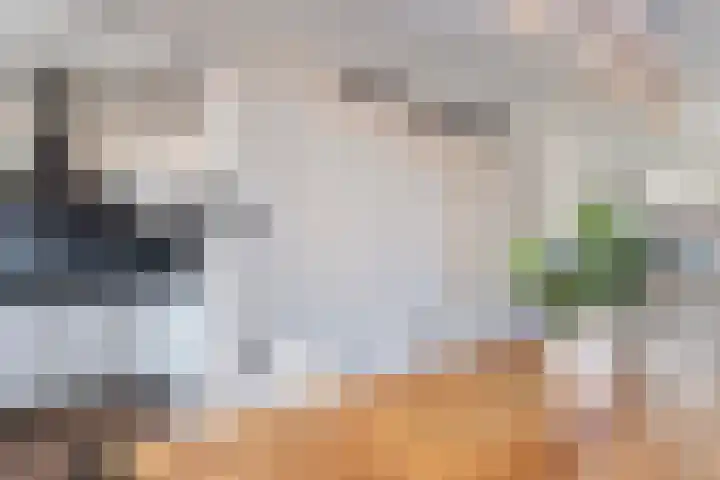 Eerste Hieronymus van Alphenstraat 17 Gouda thumbnail 23