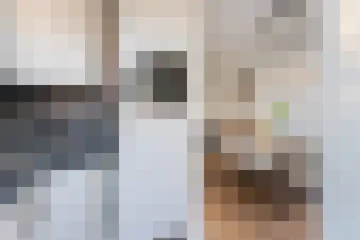 Eerste Hieronymus van Alphenstraat 17 Gouda thumbnail 24