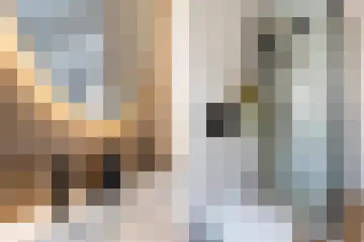 Eerste Hieronymus van Alphenstraat 17 Gouda thumbnail 37