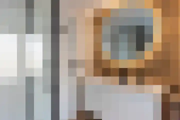 Eerste Hieronymus van Alphenstraat 17 Gouda thumbnail 38
