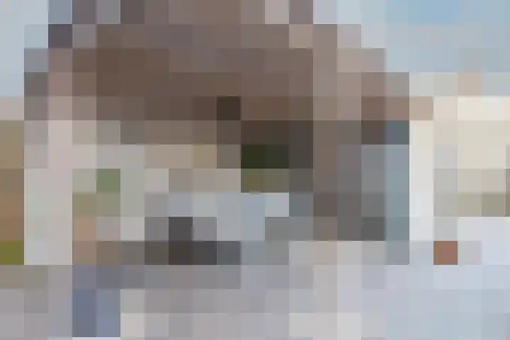 Eerste Hieronymus van Alphenstraat 17 Gouda thumbnail 4