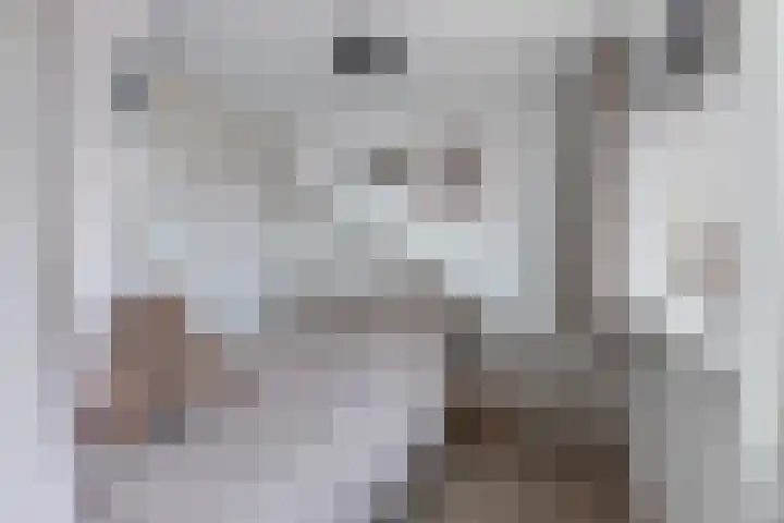 Eerste Hieronymus van Alphenstraat 17 Gouda thumbnail 40