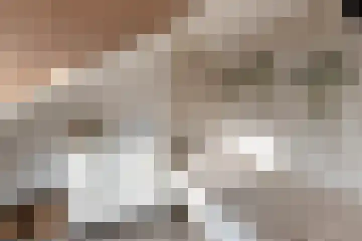 Eerste Hieronymus van Alphenstraat 17 Gouda thumbnail 42