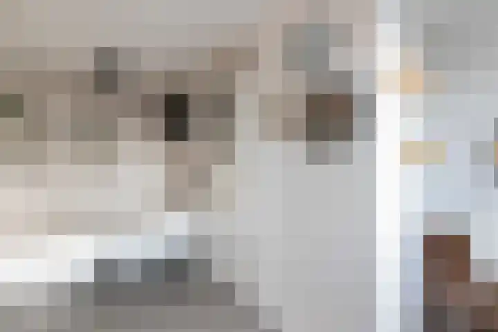 Eerste Hieronymus van Alphenstraat 17 Gouda thumbnail 44
