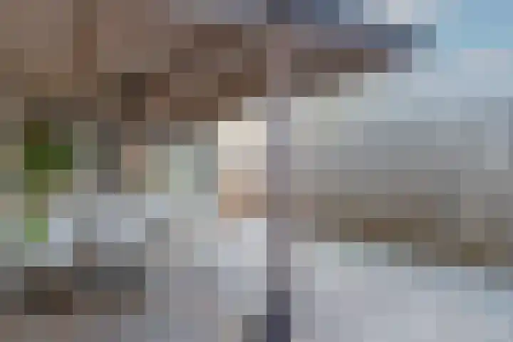 Eerste Hieronymus van Alphenstraat 17 Gouda thumbnail 46