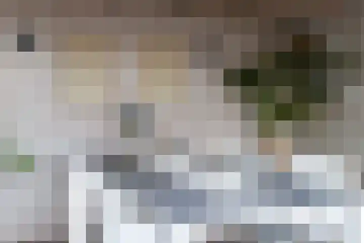 Eerste Hieronymus van Alphenstraat 17 Gouda thumbnail 48