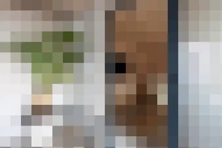 Eerste Hieronymus van Alphenstraat 17 Gouda thumbnail 49