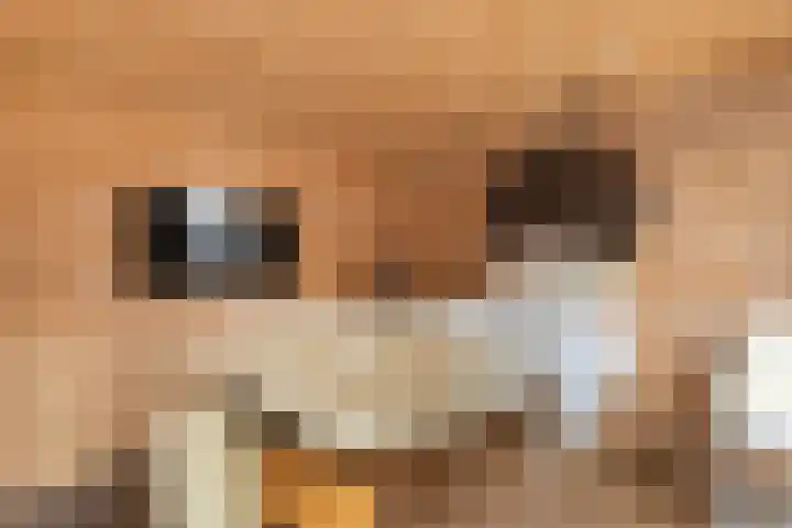 Eerste Hieronymus van Alphenstraat 17 Gouda thumbnail 50
