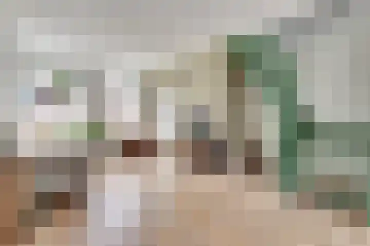 Eerste Hieronymus van Alphenstraat 27 Gouda thumbnail 10