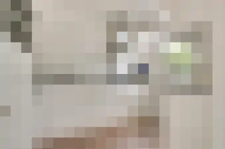 Eerste Hieronymus van Alphenstraat 27 Gouda thumbnail 11