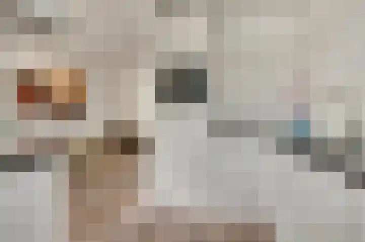 Eerste Hieronymus van Alphenstraat 27 Gouda thumbnail 12