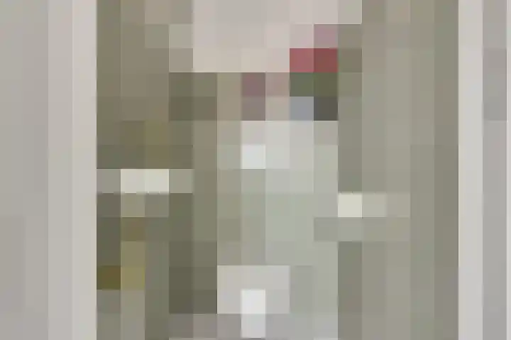Eerste Hieronymus van Alphenstraat 27 Gouda thumbnail 13
