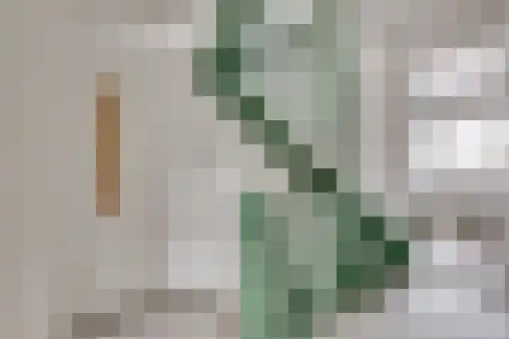 Eerste Hieronymus van Alphenstraat 27 Gouda thumbnail 15