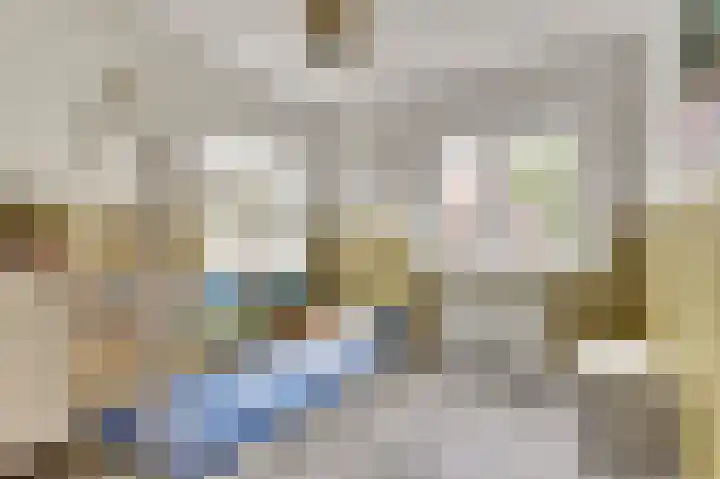 Eerste Hieronymus van Alphenstraat 27 Gouda thumbnail 18