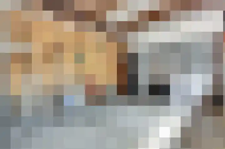 Eerste Hieronymus van Alphenstraat 27 Gouda thumbnail 31