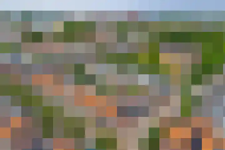 Eerste Hieronymus van Alphenstraat 27 Gouda thumbnail 38