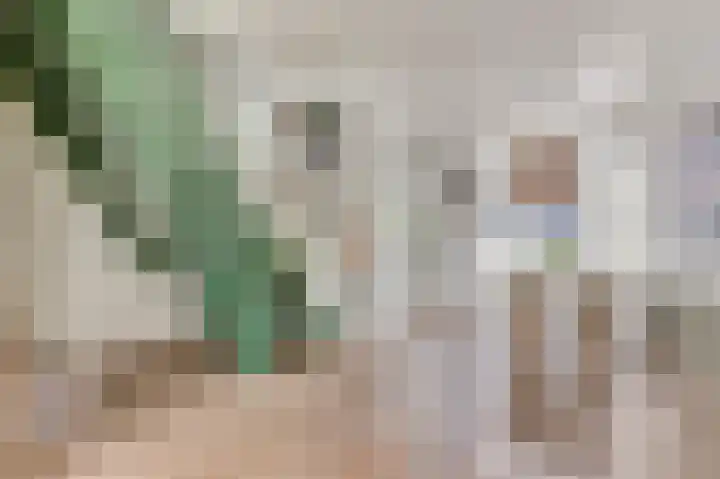 Eerste Hieronymus van Alphenstraat 27 Gouda thumbnail 7