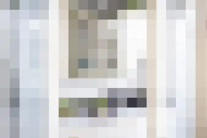 Eerste Hieronymus van Alphenstraat 72 Gouda thumbnail 11
