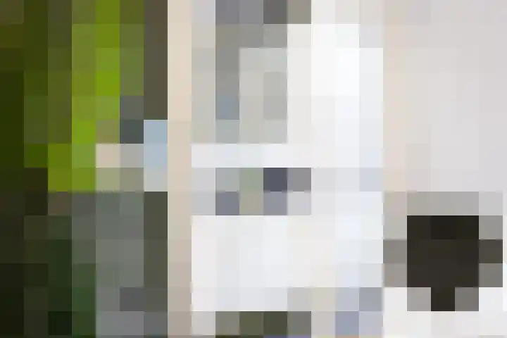 Eerste Hieronymus van Alphenstraat 72 Gouda thumbnail 13