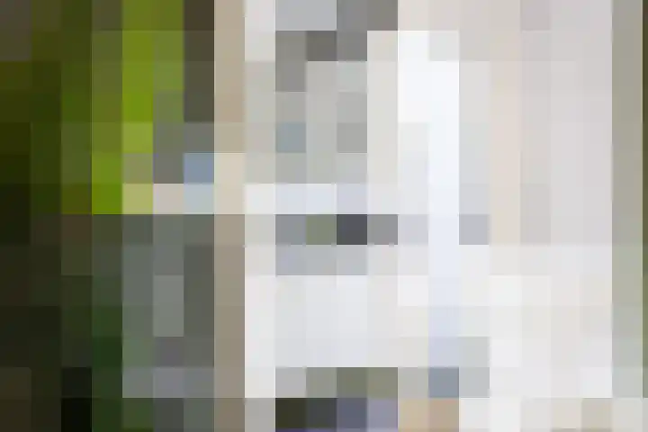 Eerste Hieronymus van Alphenstraat 72 Gouda thumbnail 14