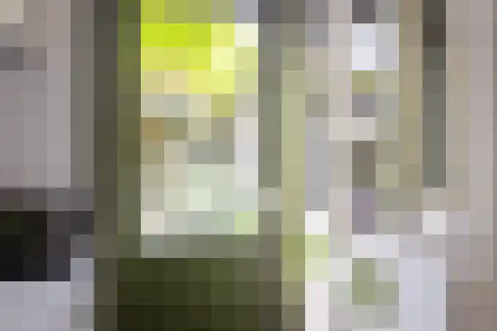 Eerste Hieronymus van Alphenstraat 72 Gouda thumbnail 16