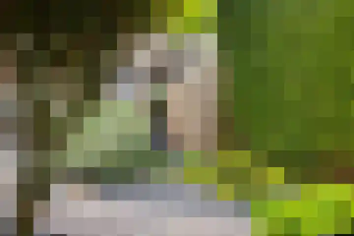 Eerste Hieronymus van Alphenstraat 72 Gouda thumbnail 18