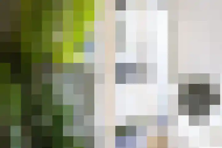 Eerste Hieronymus van Alphenstraat 72 Gouda thumbnail 4
