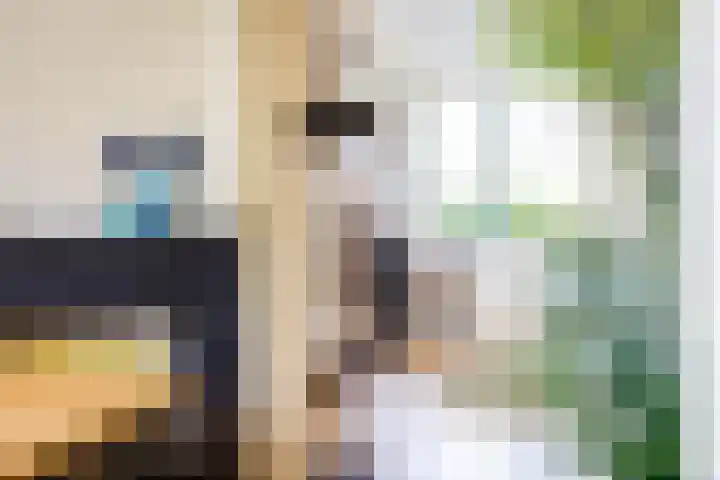 Eerste Hieronymus van Alphenstraat 72 Gouda thumbnail 7