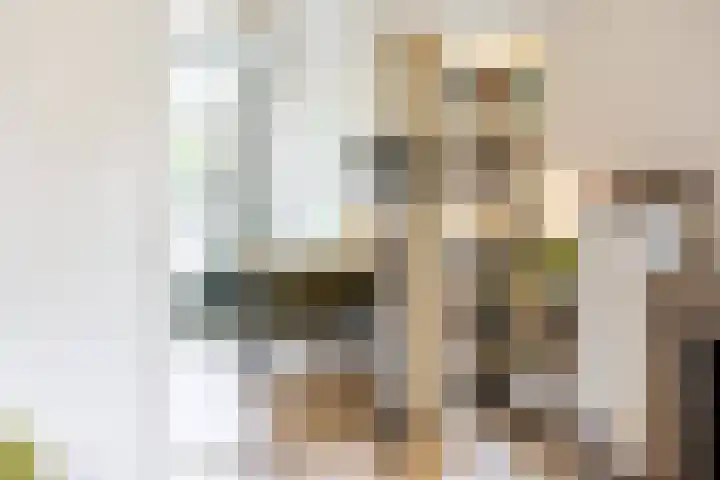 Eerste Hieronymus van Alphenstraat 72 Gouda thumbnail 8
