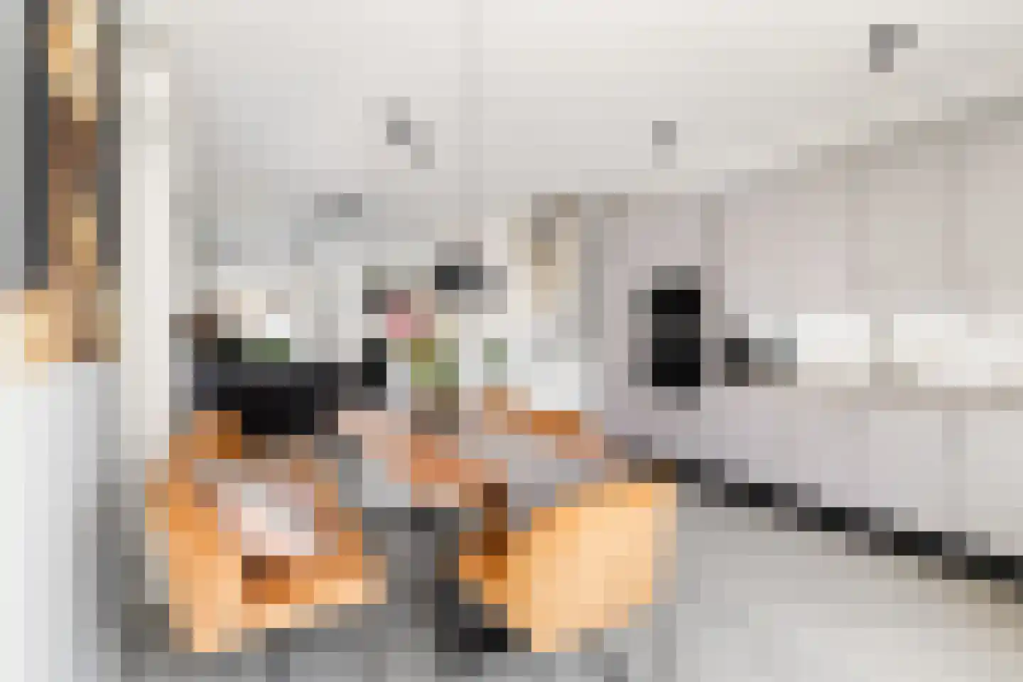 Eerste Hieronymus van Alphenstraat 88 Gouda thumbnail 15