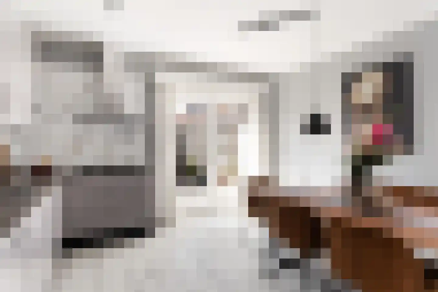 Eerste Hieronymus van Alphenstraat 88 Gouda thumbnail 18
