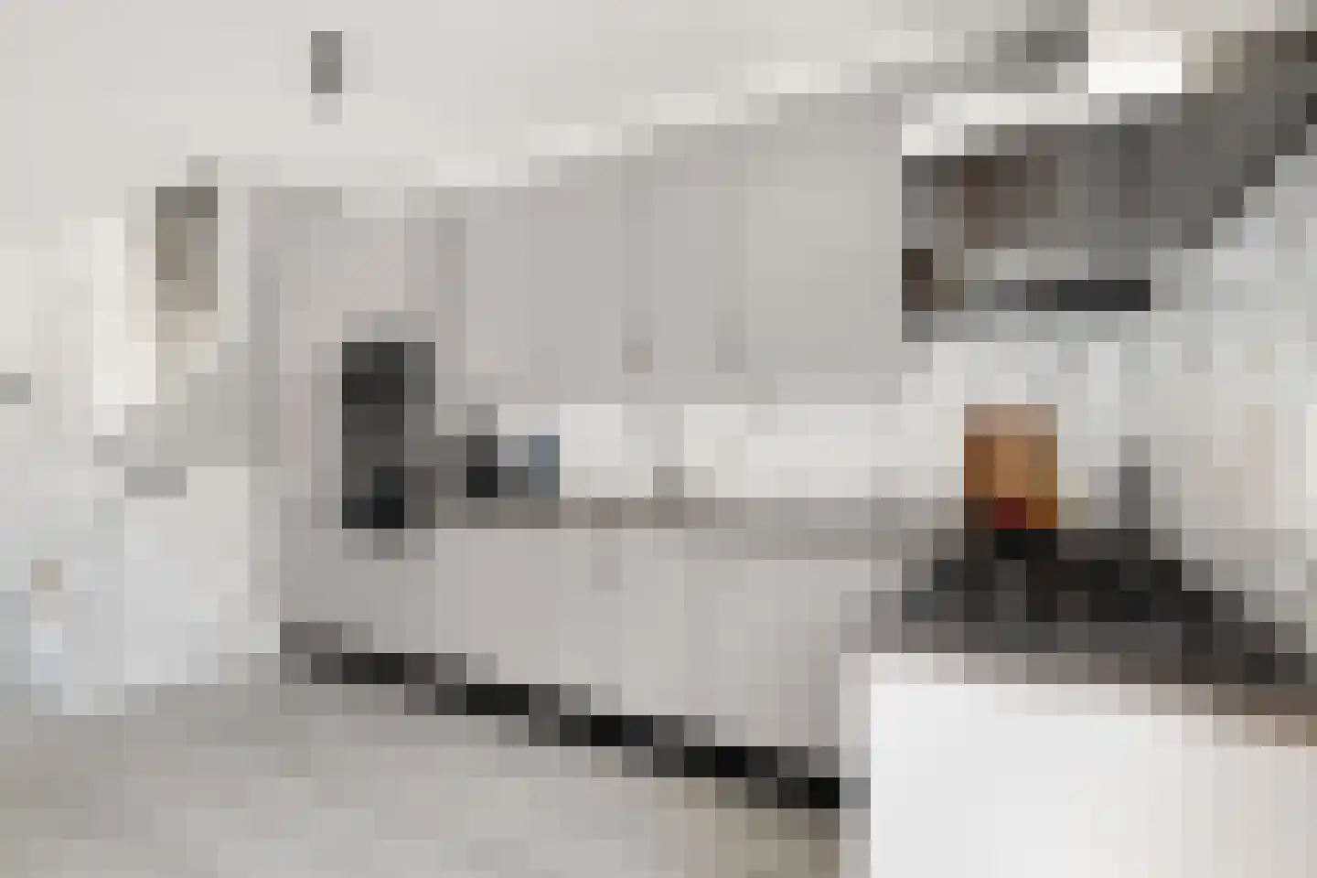 Eerste Hieronymus van Alphenstraat 88 Gouda thumbnail 20