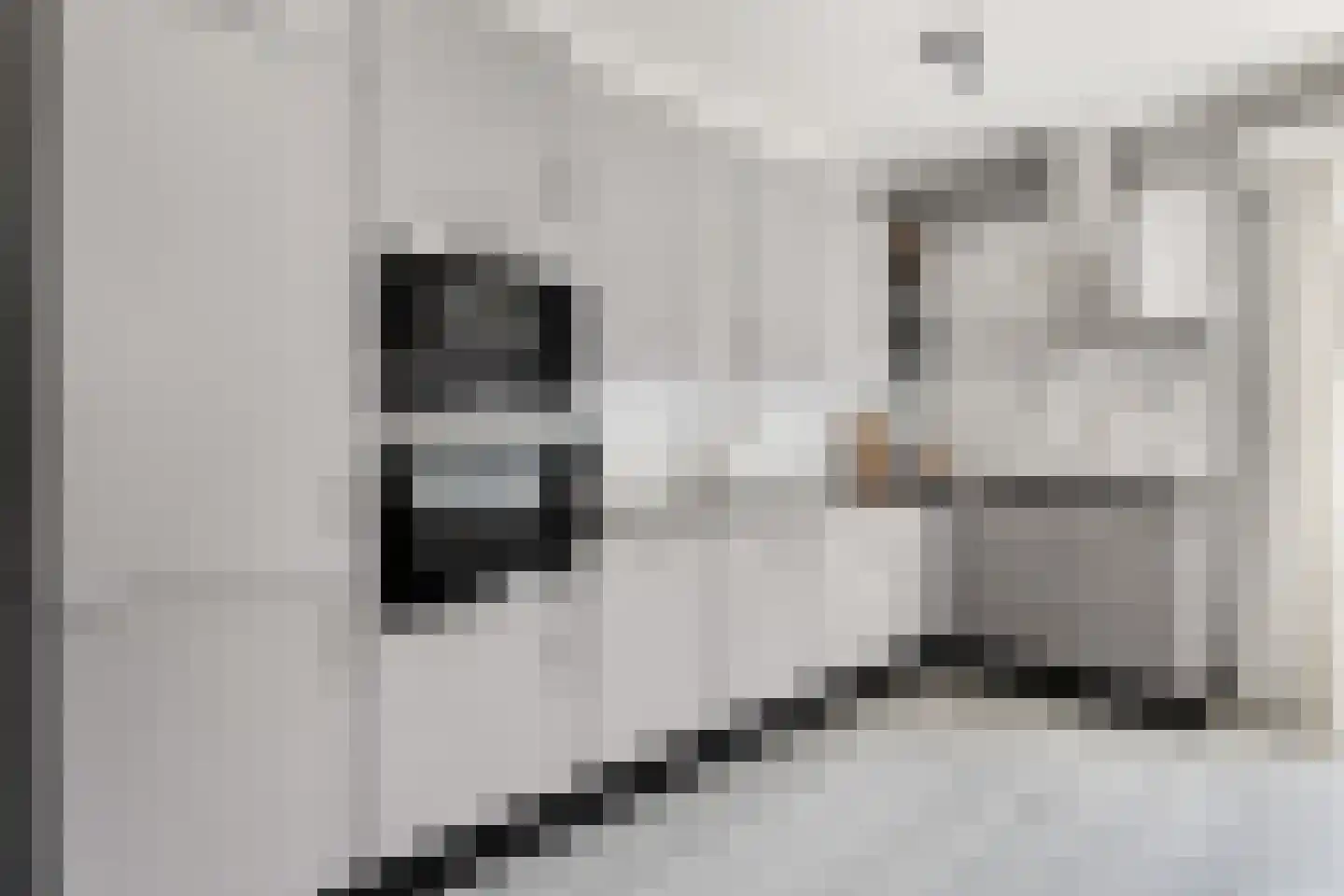 Eerste Hieronymus van Alphenstraat 88 Gouda thumbnail 21