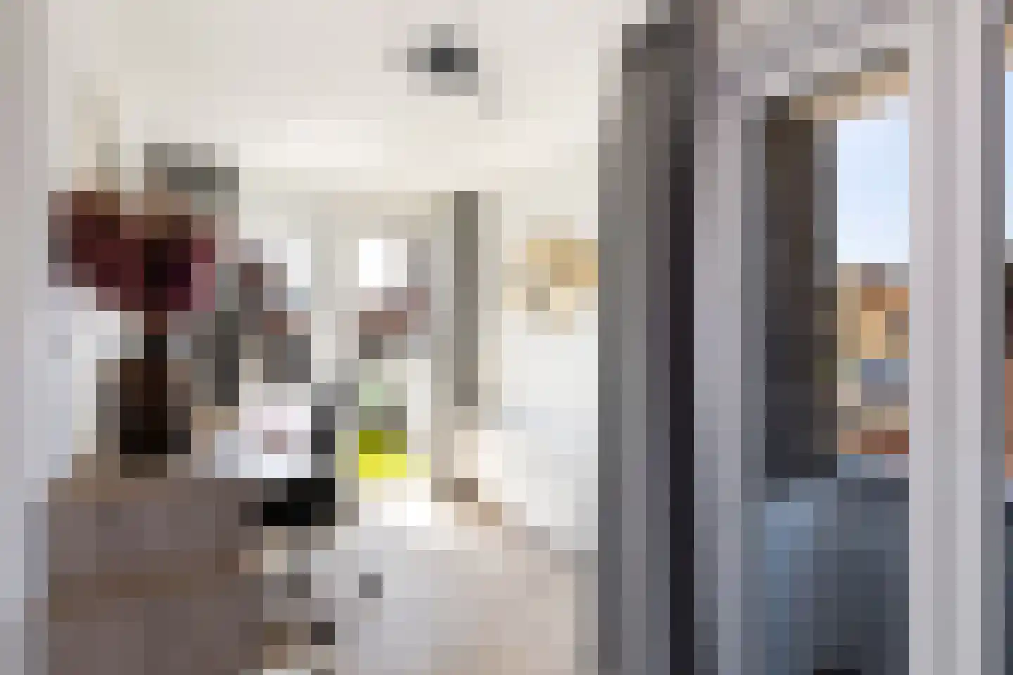 Eerste Hieronymus van Alphenstraat 88 Gouda thumbnail 30