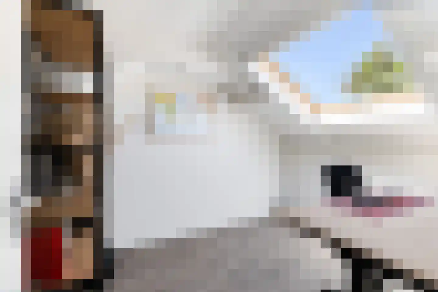 Eerste Hieronymus van Alphenstraat 88 Gouda thumbnail 43