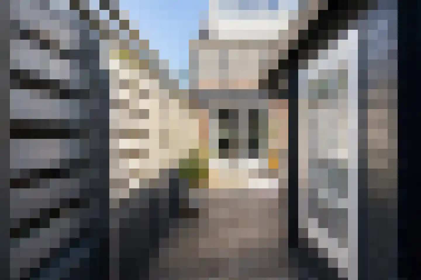 Eerste Hieronymus van Alphenstraat 88 Gouda thumbnail 45